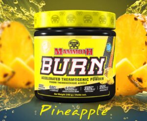 MAMMOTH BURN - Steel Empire Fitness (on TheLocalDealz.com)