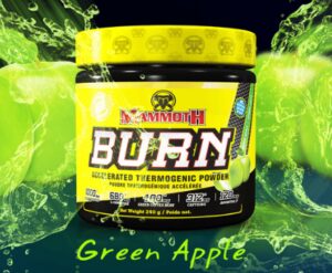 MAMMOTH BURN - Steel Empire Fitness (on TheLocalDealz.com)