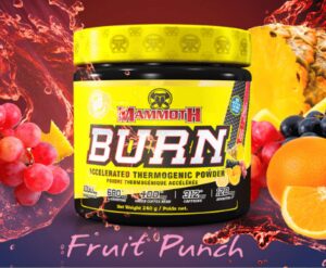 MAMMOTH BURN - Steel Empire Fitness (on TheLocalDealz.com)