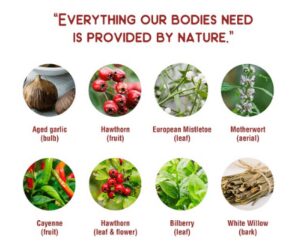 STRAUSS NATURALS - Strauss Heartdrops (Herbal Heart Supplements)