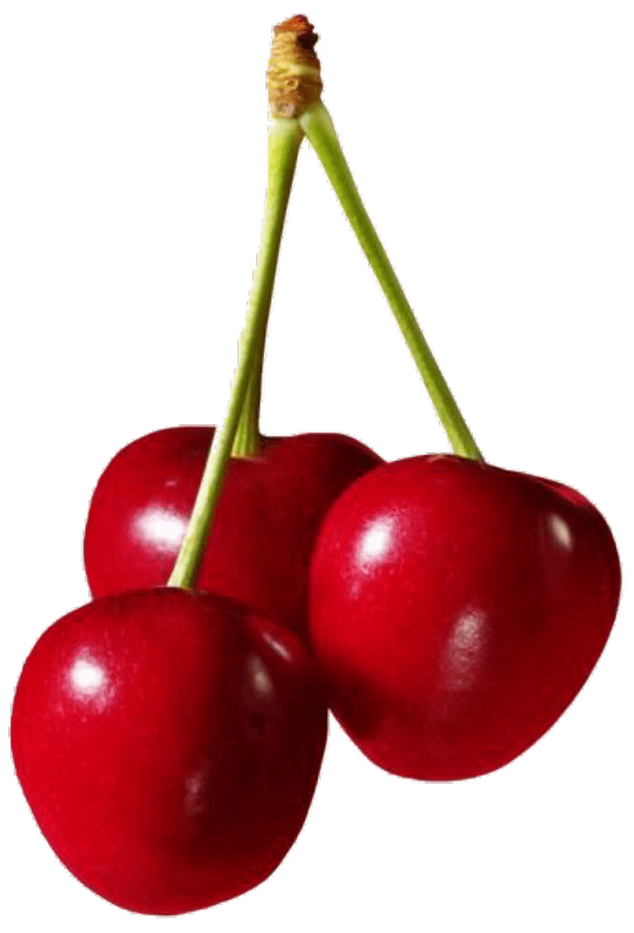 Ontario Fruit Bing Cherries Fresh Fruit